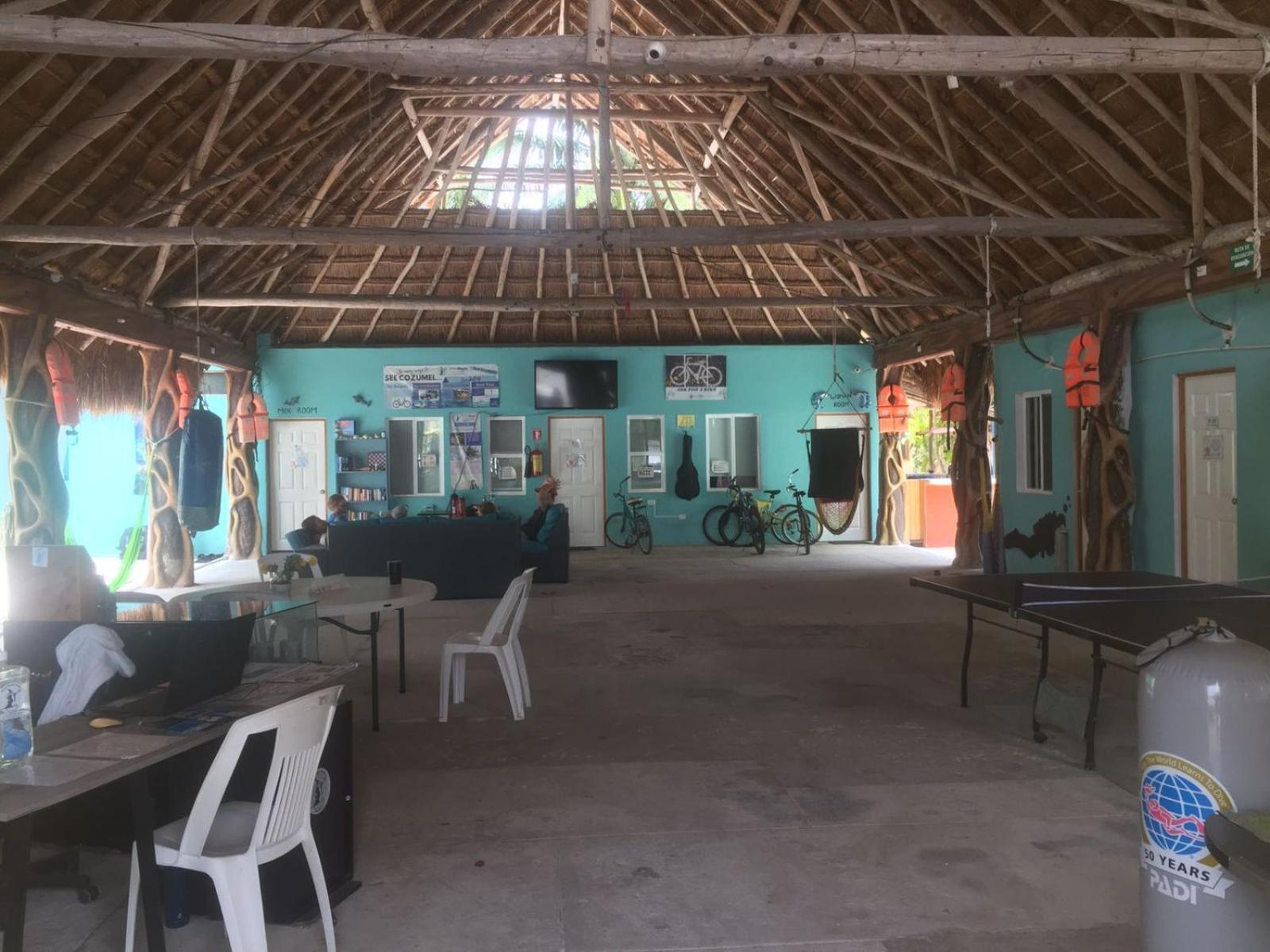 Blue Magic Hostel Cozumel Exteriör bild